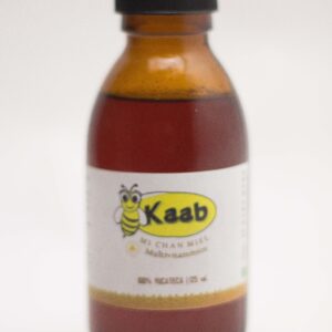 Multi-vitamínico de miel, eucalipto y propóleo 125ml.